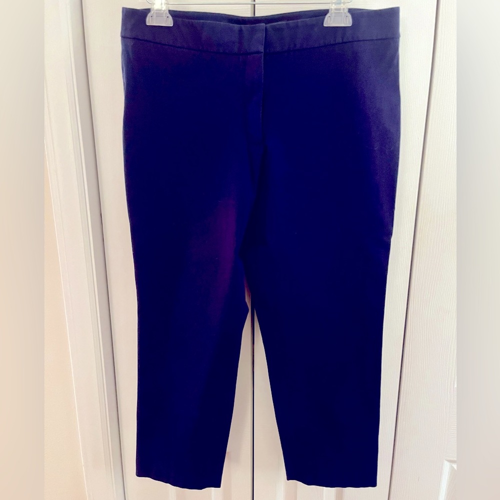 Navy Blue Tommy Hilfiger Skinny, Cropped Stretch Pants